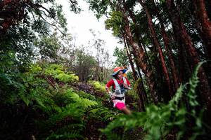 BIB: 
                            <button type="button" onclick="openModal(26201714)" class="btn btn-primary btn-sm float-right btn-popup" data-toggle="modal" data-target=".modal-high-quality">
                        <i class="fas fa-shopping-cart"></i> Add to Cart
                    </button>
                                            <button type="button" onclick="isThisMe(26201714, true)" class="btn btn-success btn-sm float-right btn-popup btn-isme hidden" data-toggle="tooltip" data-placement="bottom" title="นี่คือรูปของคุณใช่ไหม คลิกที่นี่เพื่อเอาเข้าอัลบั้ม">
                        <i class="fas fa-plus"></i> Add to album
                    </button>
                    <button type="button" onclick="isThisMe(26201714, false)" class="btn btn-warning btn-sm float-right btn-popup btn-isnotme hidden">
                        <i class="fas fa-ban"></i> Remove from album
                    </button>